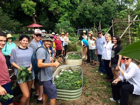our permaculture life.